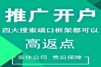 某企业SEM广告投放的ROI提升之路